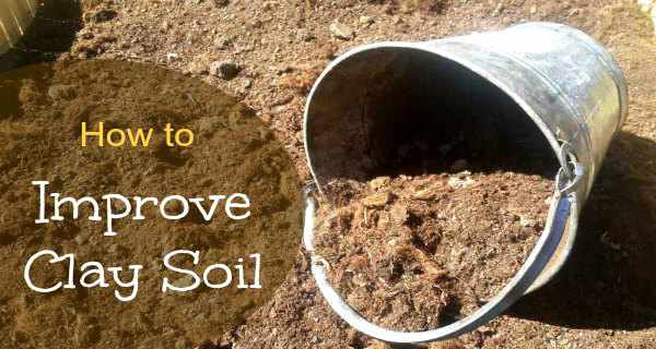 Improve clay soil